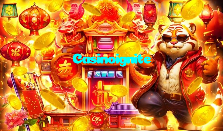 available types of Casinoignite bet including pre-match live express and system bets